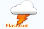 Flashgot: add-on para Firefox