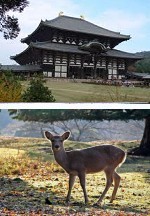 Nara: Japón