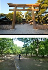 Harajuku: Parque Yoyogi y Templo Meiji Jingu