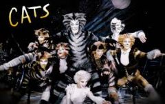 Cats, el musical