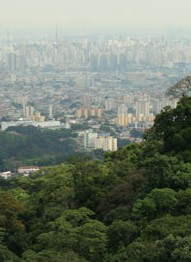 Serra da Cantareira